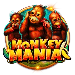 zet bet casino là gì